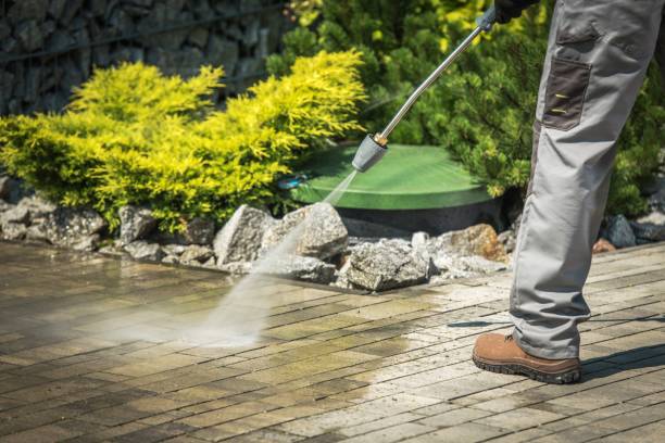 Professional Pressure Washing in Arial, SC